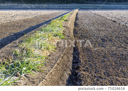 Spring scenery of Satoyama Rice field black Spring scenery of Satoyama Rice field black 75826616