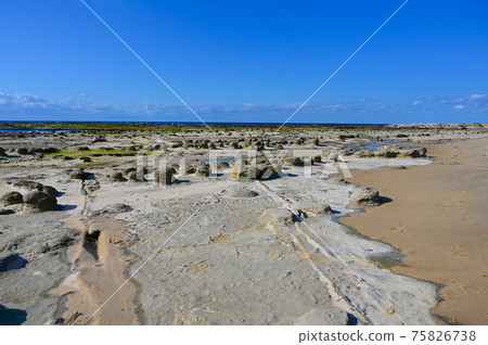 Iwami Tatamigaura Senjojiki, Hamada City, Shimane Prefecture Iwami Tatamigaura Senjojiki, Hamada City, Shimane Prefecture 75826738