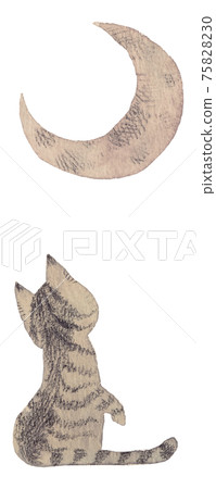 抬頭看著月亮的貓 抬頭看著月亮的貓 75828230