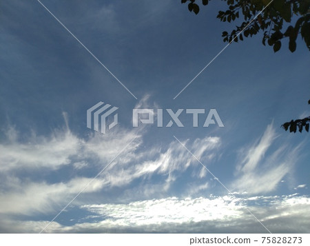 藍天 藍天 75828273