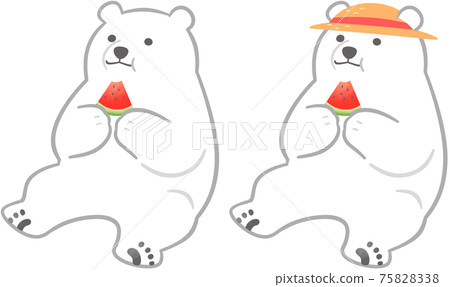 Two polar bears that eat watermelon Two polar bears that eat watermelon 75828338