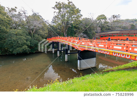 Spring Usa Jingu, Kurehashi and Rape blossoms, Usa City, Oita Prefecture Spring Usa Jingu, Kurehashi and Rape blossoms, Usa City, Oita Prefecture 75828996