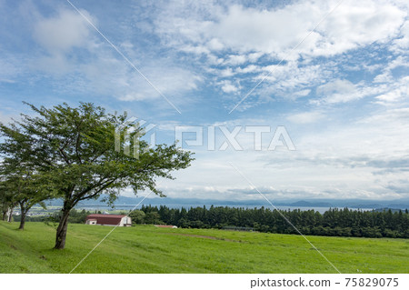 Lake Inawashiro grassland 75829075