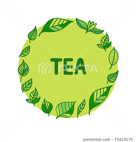 Green Tea leaf. Round frame with hand drawn illustration isolated on white. 75829175