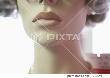STOCK PHOTOGRAPHY IMAGES STOCK PHOTOGRAPHY IMAGES 75829185