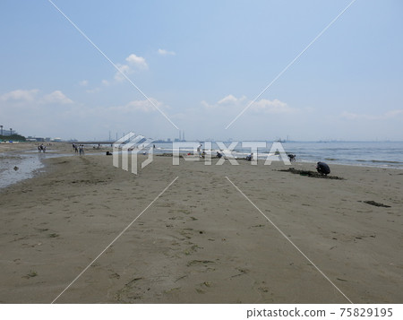 Summer Inage Beach (Inage Seaside Park) Summer Inage Beach (Inage Seaside Park) 75829195