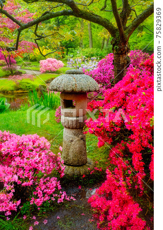Japanese garden, Park Clingendael, The Hague, Netherlands 75829369