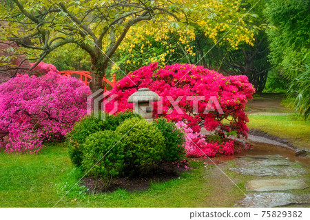 Japanese garden, Park Clingendael, The Hague, Netherlands 75829382