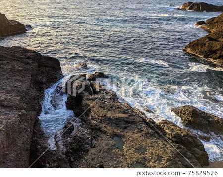 Scene of despair Scene of despair 75829526