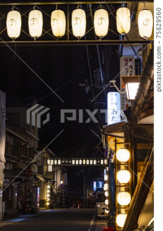Togawa Onsen night view of the hot spring town 75829560