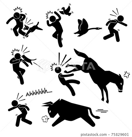 Domestic Animal Attacking Hurting Human Stick Figure Pictogram Icon. Domestic Animal Attacking Hurting Human Stick Figure Pictogram Icon. 75829601