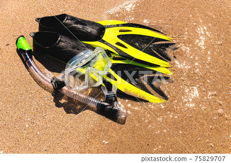 Snorkel mask and flippers lie on the sandy beach next to the waves on a sunny day 75829707