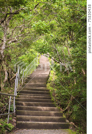 [Chiba / Mt. Nokogiri] A stone staircase leading to the hell of the remains of the quarry of Mt. Nokogiri. 75830438