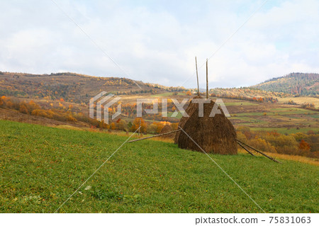 Autumn mountain plain landscape 75831063