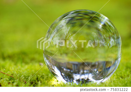 Early spring, the mystery of the moss garden and the lens ball 19 Early spring, the mystery of the moss garden and the lens ball 19 75831222