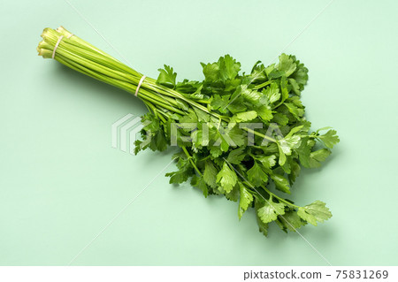Bunch of celery leaves and stems isolated on light green background Top view Flat lay Diet, healthy eating, weight loss concept 75831269