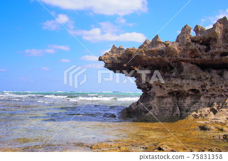 池井島的海岸和奇怪的岩石的風景(沖繩縣uruma市的一個遙遠的島嶼) 池井島的海岸和奇怪的岩石的風景(沖繩縣uruma市的一個遙遠的島嶼) 75831358