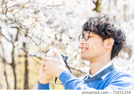 一個男人用一面無反光鏡的相機拍攝盛開的櫻花 75831359