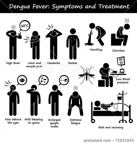 Dengue Fever Symptoms and Treatment Aedes Mosquito Stick Figure Pictogram Icons.  75831850