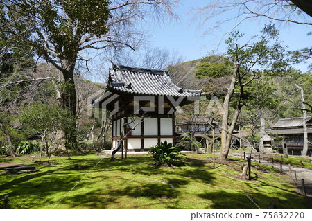 Walking around Yokohama 75832220