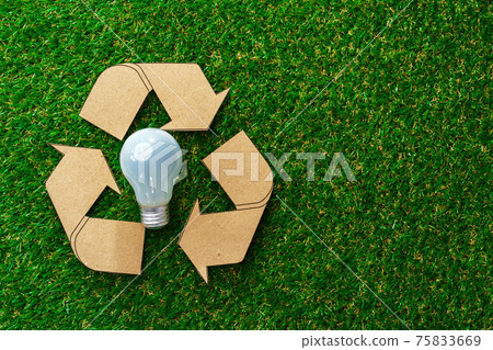 Eco energy saving light bulbs on grass background 75833669