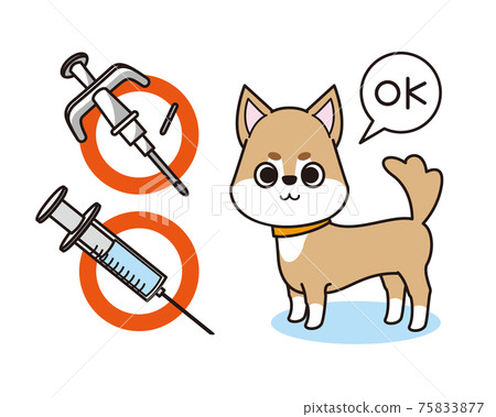 how do you inject a dogs microchip