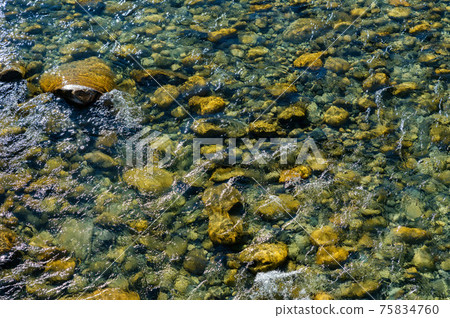 Transparent fresh mountain stream with stones at the bottom Transparent fresh mountain stream with stones at the bottom 75834760