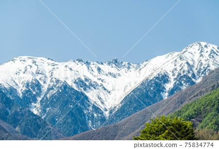 雪樹Kisokoma山 雪樹Kisokoma山 75834774