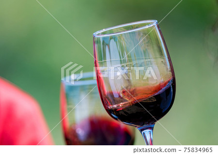 Hand holds two glasses with red wine next to grapes in nature Hand holds two glasses with red wine next to grapes in nature 75834965