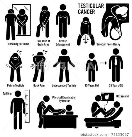 Testicular cancer symptoms