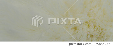 Background and texture of the fur macro image, artificial fabric Background and texture of the fur macro image, artificial fabric 75835256