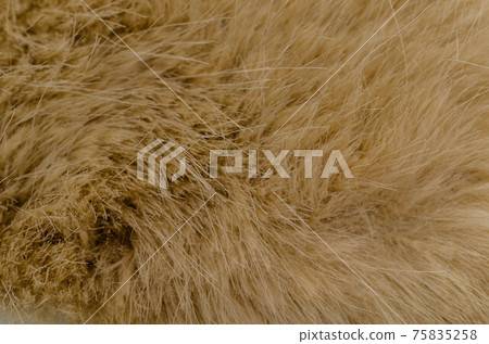 Background and texture of the fur macro image, artificial fabric Background and texture of the fur macro image, artificial fabric 75835258