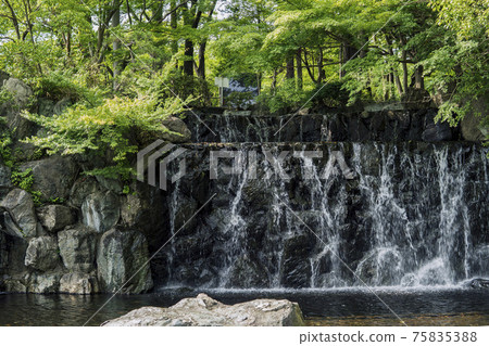 涼爽的瀑布/上尾丸山公園（Sa玉縣阿吉歐市） 75835388