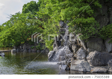 從側面看人工池塘和瀑布/上尾丸山公園（Sa玉縣阿吉歐市） 75835389