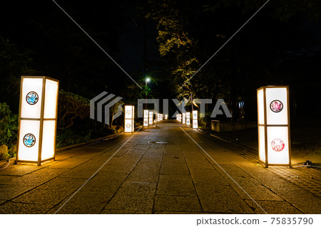 Enoshima Lantern Festival 75835790