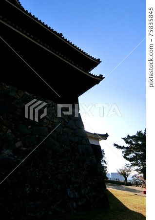 國寶松江城城堡塔剪影 75835848