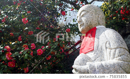 Jizo and camellia 75835855