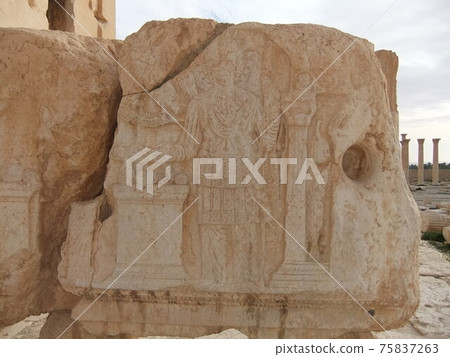 Palmyra Ruins from Syria Trip 75837263