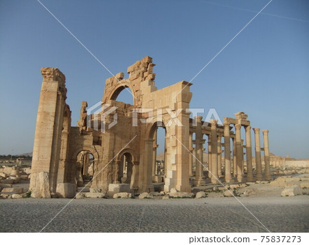 Palmyra Ruins from Syria Trip 75837273