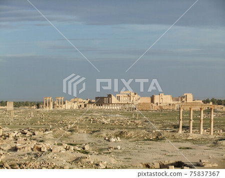 敘利亞之旅的巴爾米拉遺址 敘利亞之旅的巴爾米拉遺址 75837367