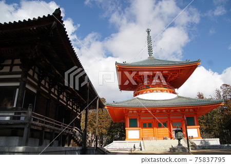 Takanoyama Danjo Takanoyama Danjo 75837795