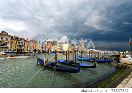 Venice Cityscape and the Canal Grande with Gondolas - Veneto Italy Venice Cityscape and the Canal Grande with Gondolas - Veneto Italy 75837802