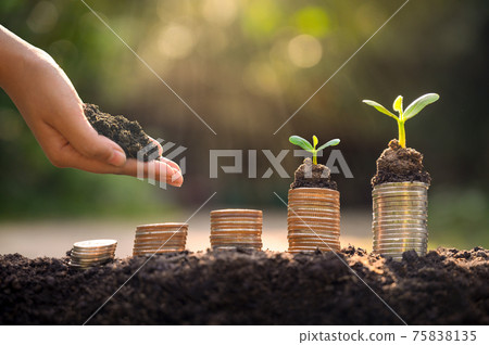 Money growth Saving money. Upper tree coins to shown concept of growing business Money growth Saving money. Upper tree coins to shown concept of growing business 75838135