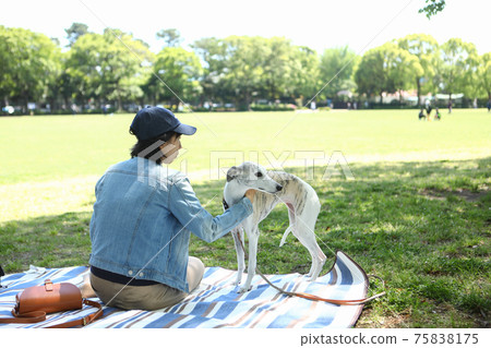 一個女人和她的狗在公園裡一棵樹的樹蔭下放鬆 一個女人和她的狗在公園裡一棵樹的樹蔭下放鬆 75838175