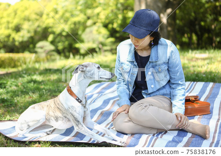 一個女人和她的狗在公園裡一棵樹的樹蔭下放鬆 一個女人和她的狗在公園裡一棵樹的樹蔭下放鬆 75838176