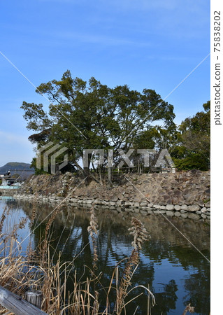 夏川城04 夏川城04 75838202