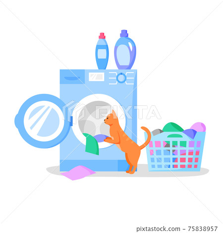 Cat looking in open washing machine, laundry basket with clothes, bottles with liquid detergents, vector flat illustration. 75838957