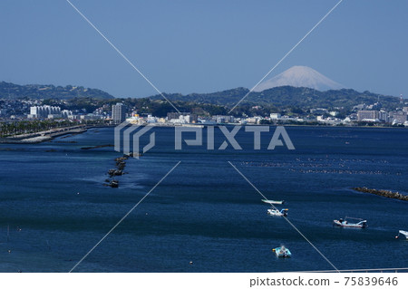 Sakura and Mt. Fuji at Hashirimizu Source Sakura and Mt. Fuji at Hashirimizu Source 75839646