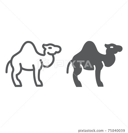 Camel line and glyph icon, arab and animal, mammal sign, vector graphics, a linear pattern on a white background. 75840039