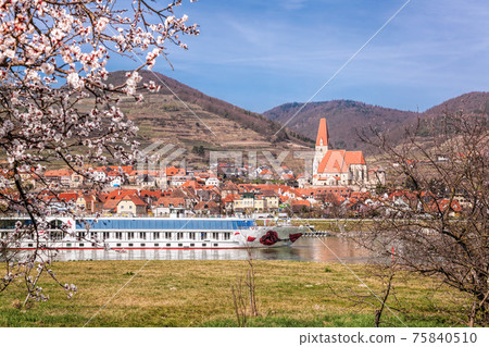 Weissenkirchen village with tourist ship on Danube river during spring time in Wachau, Austria 75840510